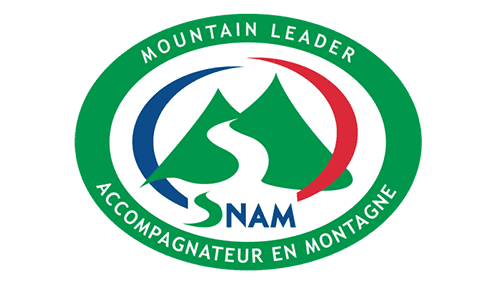 Snam logo